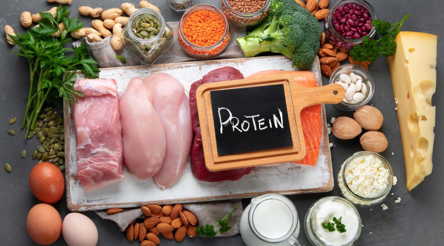 high protein foods list