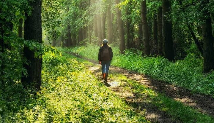 benefits of nature walks