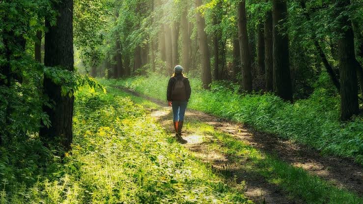 benefits of nature walks